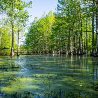 Backwater 70 images 4