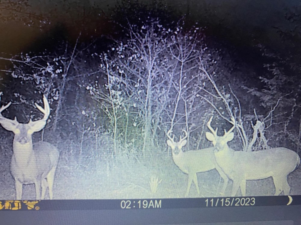 LA - West Carroll 128 acres - featured image