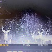 LA - West Carroll 128 acres - images 2