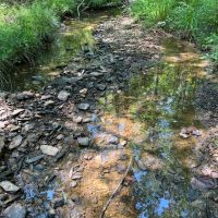 148 - ac Sawtooth Branch Lake images 4
