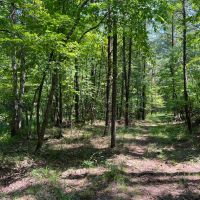 148 - ac Sawtooth Branch Lake images 5