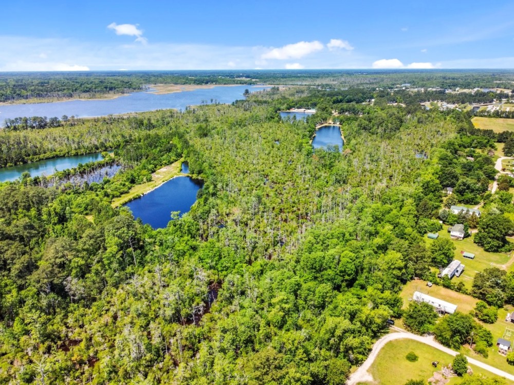 Hunting Fishing Property for Sale in Beaufort County North Carolina featured image