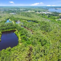 Hunting Fishing Property for Sale in Beaufort County North Carolina images 5
