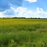 Garwood Tract 6 13 Acres Only 15K Down