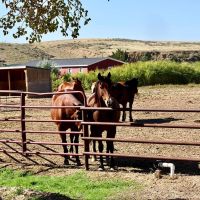Broken Spoke Ranch images 2