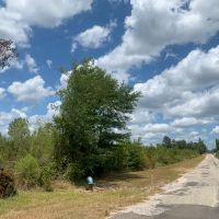 588 Acres The Game Preserve images 2
