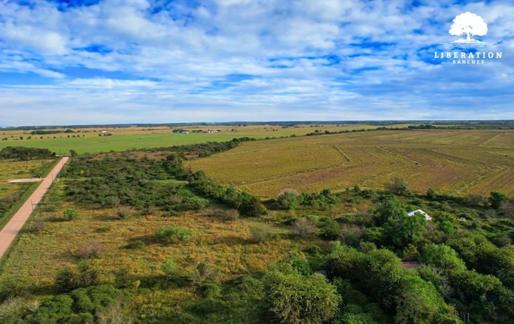 Alleyton Tract 6 14 Acres Only 15K Down featured image