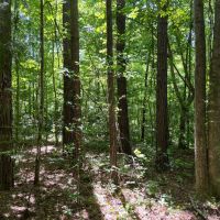 102 - ac Butler County images 2