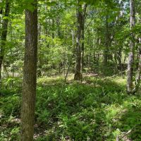 102 - ac Butler County images 3