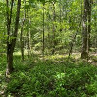 102 - ac Butler County images 4