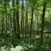 102 - ac Butler County images 5