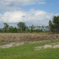 Chunky Pond Getaway Tract