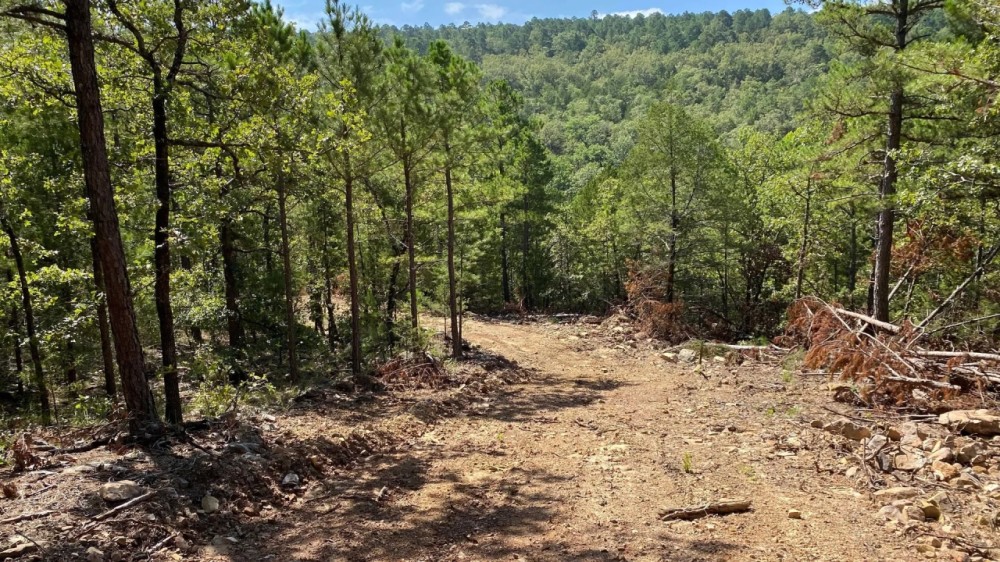 Tract 2 Kelly Springs Road Atoka OK 480 Acres featured image