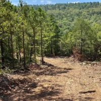 Tract 2 Kelly Springs Road Atoka OK 480 Acres