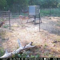 Tract 2 Kelly Springs Road Atoka OK 480 Acres images 2