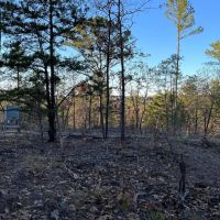 Tract 2 Kelly Springs Road Atoka OK 480 Acres images 4