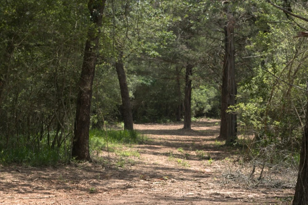 WILDWOOD RANCHES TRACT 1 featured image