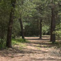 WILDWOOD RANCHES TRACT 1 images 1