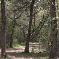 WILDWOOD RANCHES TRACT 1 images 2