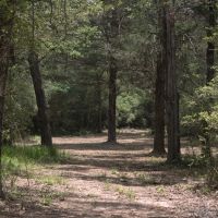 WILDWOOD RANCHES TRACT 1 images 3