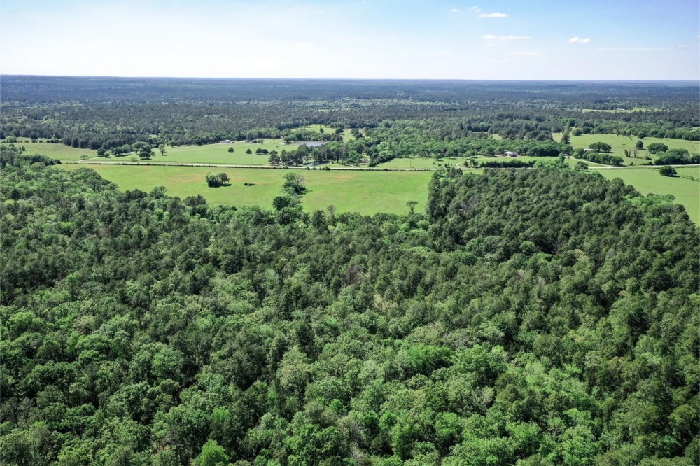 55 Acres FM 946 N featured image