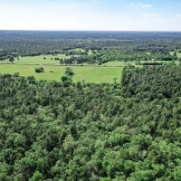 55 Acres FM 946 N images 1