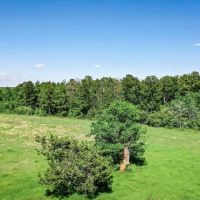 55 Acres FM 946 N images 3