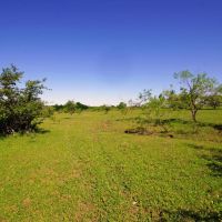 Ag Exempt Hunting Recreational Land in Holland TX images 2