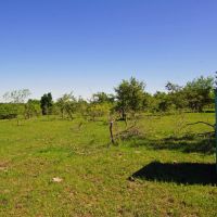 Ag Exempt Hunting Recreational Land in Holland TX images 3