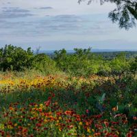 Armstrong Ranch images 2