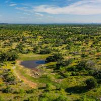 Armstrong Ranch images 5