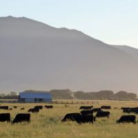 Northeast Oregon s Premier Estate The DLX Ranch images 3