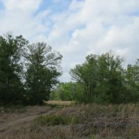Southern Rosin Tract images 3