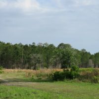 McGee Branch East Tract images 2