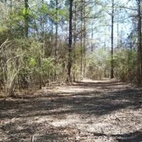16 Acres in Copiah County in Wesson MS