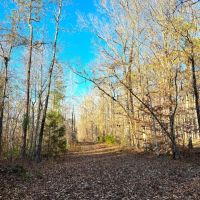 29-116-weoka-farm-39 images 2