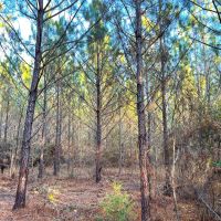 29-116-weoka-farm-39 images 3