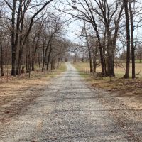 Williams Farm Ranch images 5