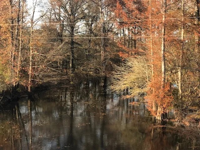 LA - Caldwell 173 acres - featured image