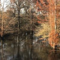 LA - Caldwell 173 acres -