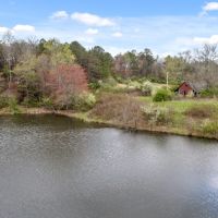 POND ON 23 - UNRESTRICTED ACRES images 2
