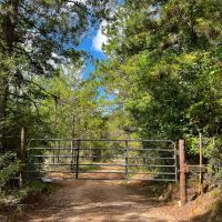 11 Acres T-2C Slim Palmer Rd. images 2