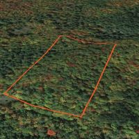 6.69 acre Wooded Camp Lot in Dickinson NY images 4