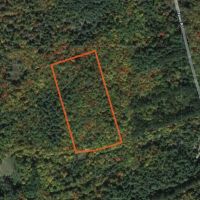 6.69 acre Wooded Camp Lot in Dickinson NY images 5