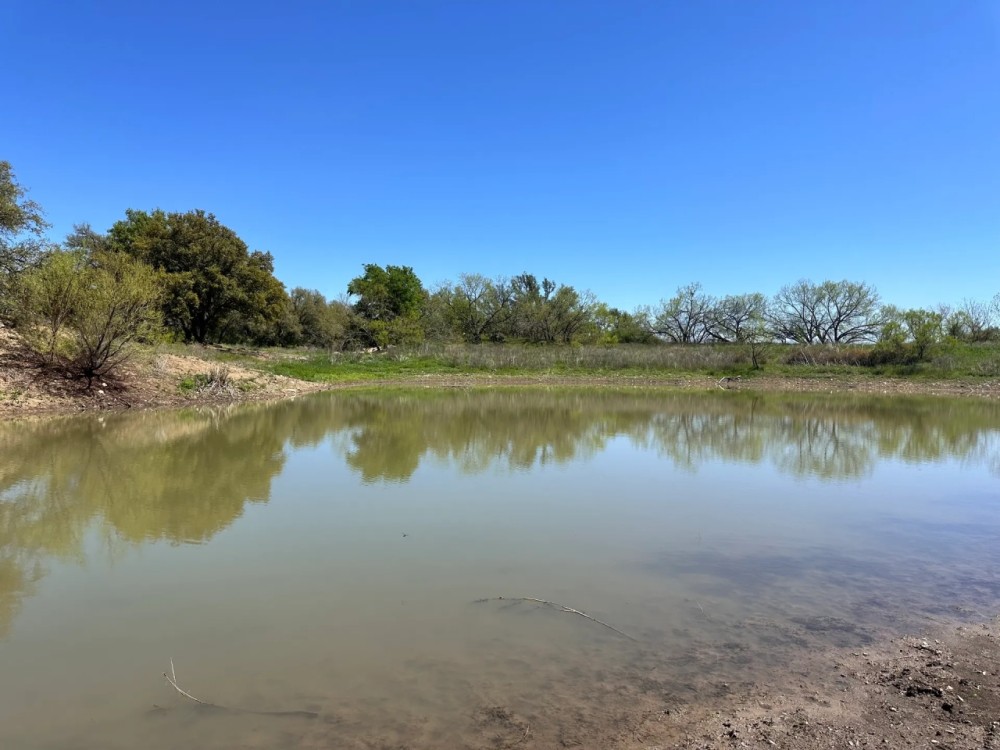 336 - Acres….4 2 Home Oaks Surface Water Rolling Terrain featured image