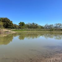 336 - Acres….4 2 Home Oaks Surface Water Rolling Terrain