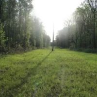 396 Acres in Leflore County in Greenwood MS images 4