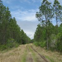 O-I Timberland Tract