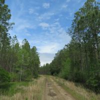 O-I Timberland Tract images 2