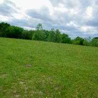 107 Acres of Seclusion to Hunt Graze or Build your Home images 3